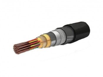 ТППЭПЗББШП 30Х2Х0.7